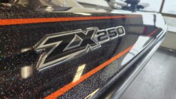 2019 SKEETER ZX250 full