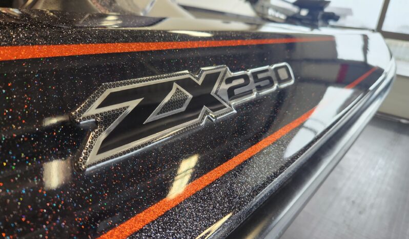 2019 SKEETER ZX250 full