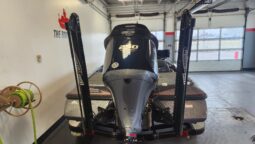 2019 SKEETER ZX250 full