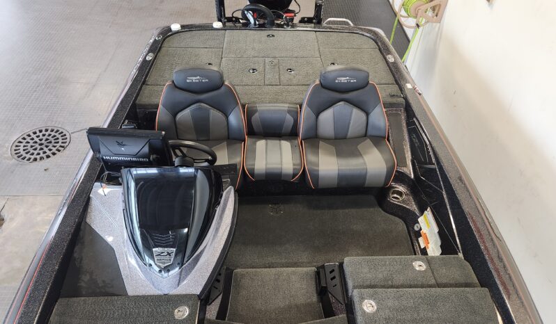 2019 SKEETER ZX250 full