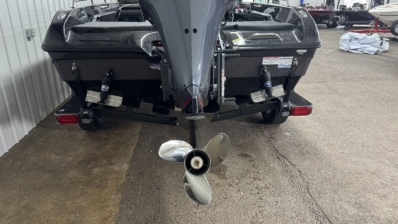 2025 SKEETER WX1910 full