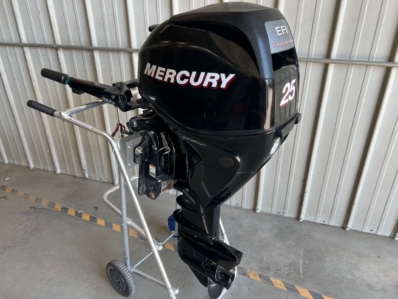 MERCURY F25ELHPT