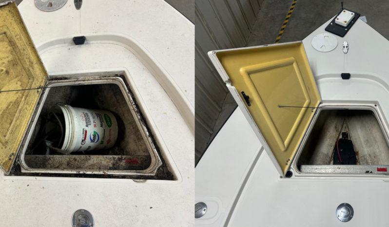 ADVANCED DETAIL HEWES full