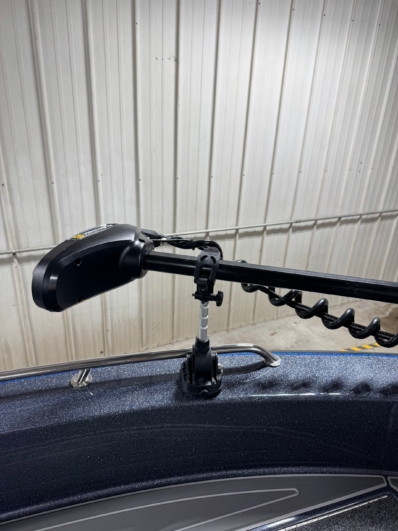 CUSTOM RIGGED WARRIOR full