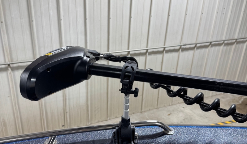 CUSTOM RIGGED WARRIOR full