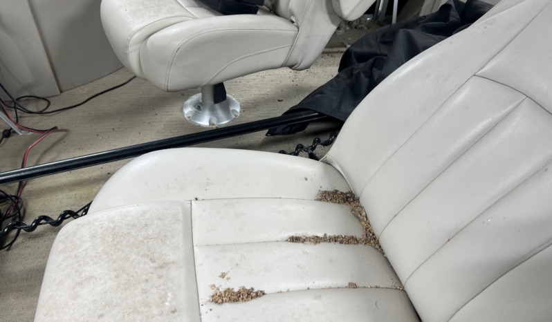 ADVANCED DETAIL BENNINGTON full