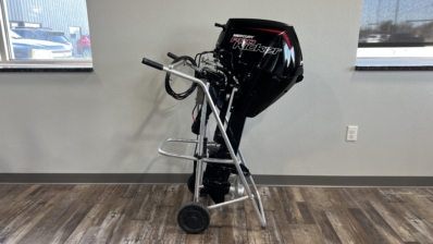 2024 MERCURY 15 PRO KICKER