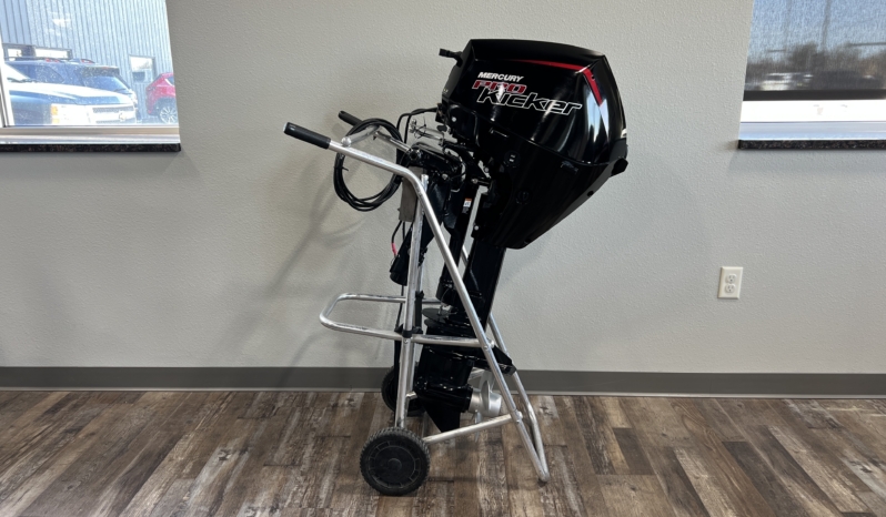 2024 MERCURY 15 PRO KICKER full