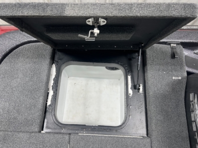 2019 SKEETER FX20 full