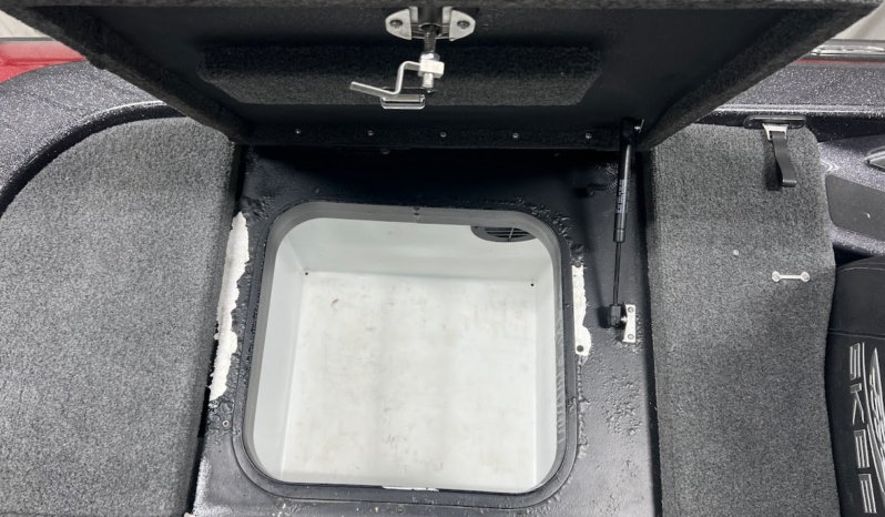 2019 SKEETER FX20 full