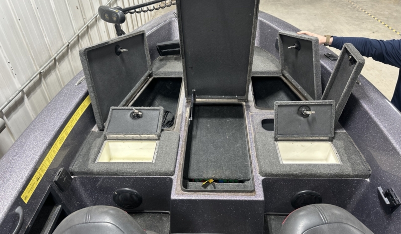 2010 SKEETER WX1790 full