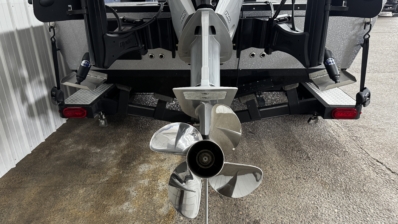 2024 WARRIOR V208 full