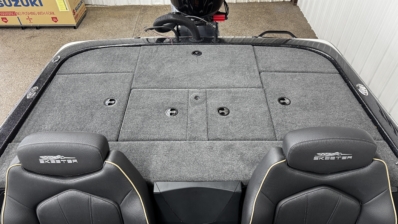 2026 SKEETER ZX200 full