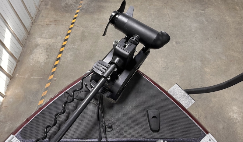 2020 WARRIOR V193 full
